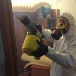 Уничтожение клопов в квартире. поселок Зелёный